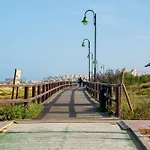 Dunas Playa La Mata